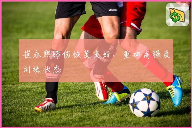 崔永熙膝伤恢复良好，重回高强度训练状态